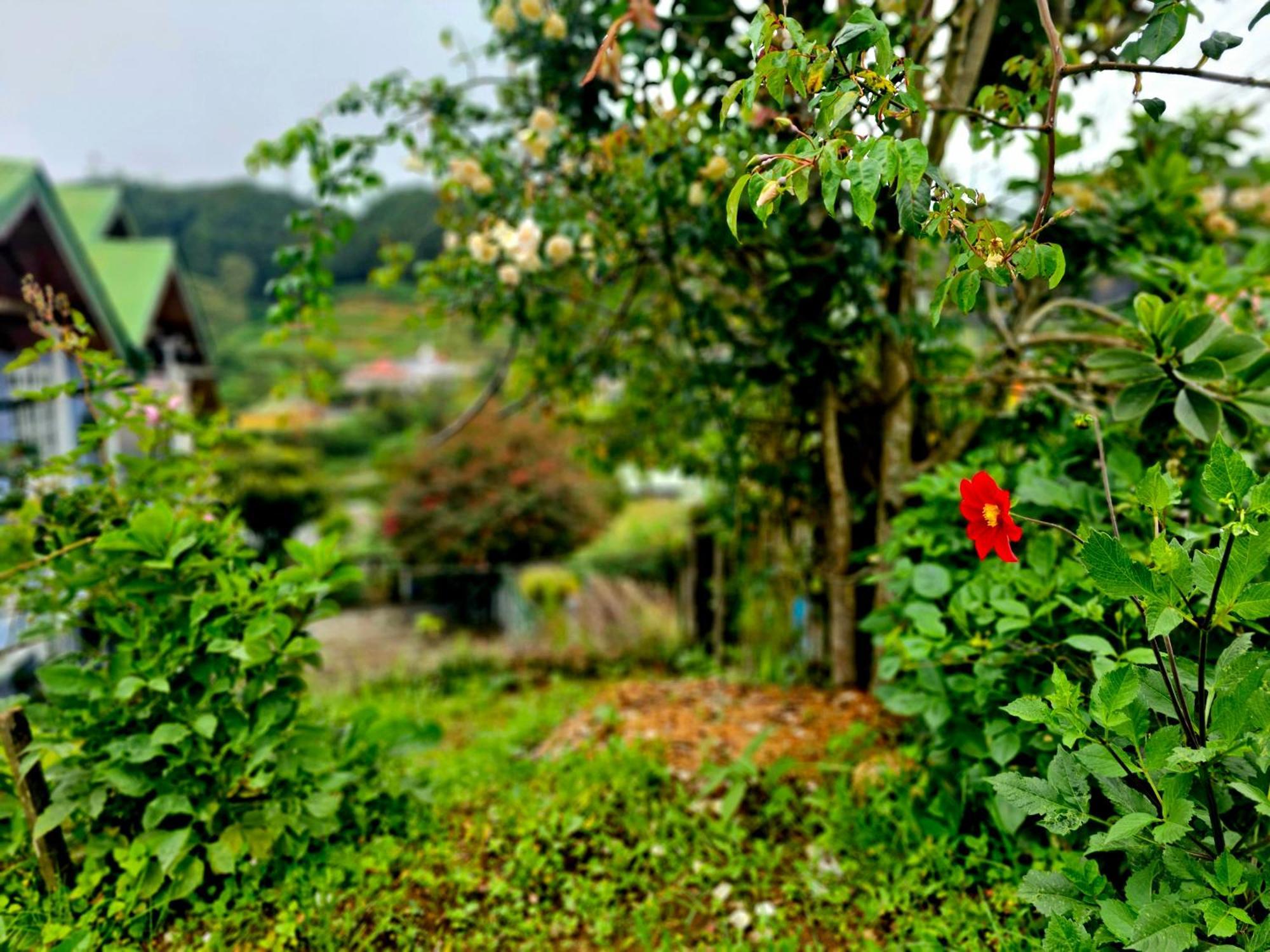 A Pousada Haven Backpackers Nuwara Eliya Exterior foto